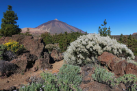 Tenerife Teide